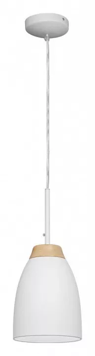 

Подвесной светильник Loft IT Watchman Loft4402A-Wh