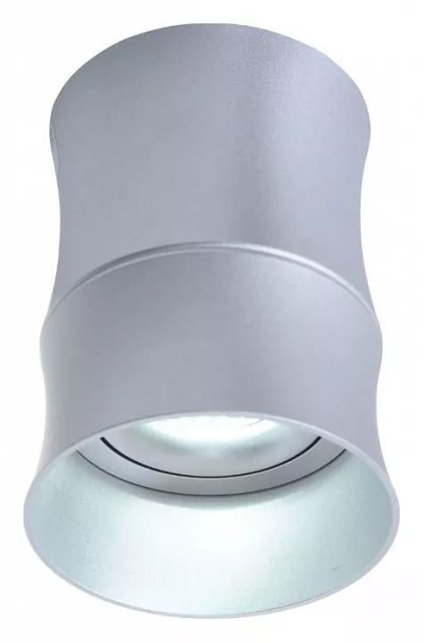 

Накладной светильник LUMINA DECO Riston LDC 8053-C SL