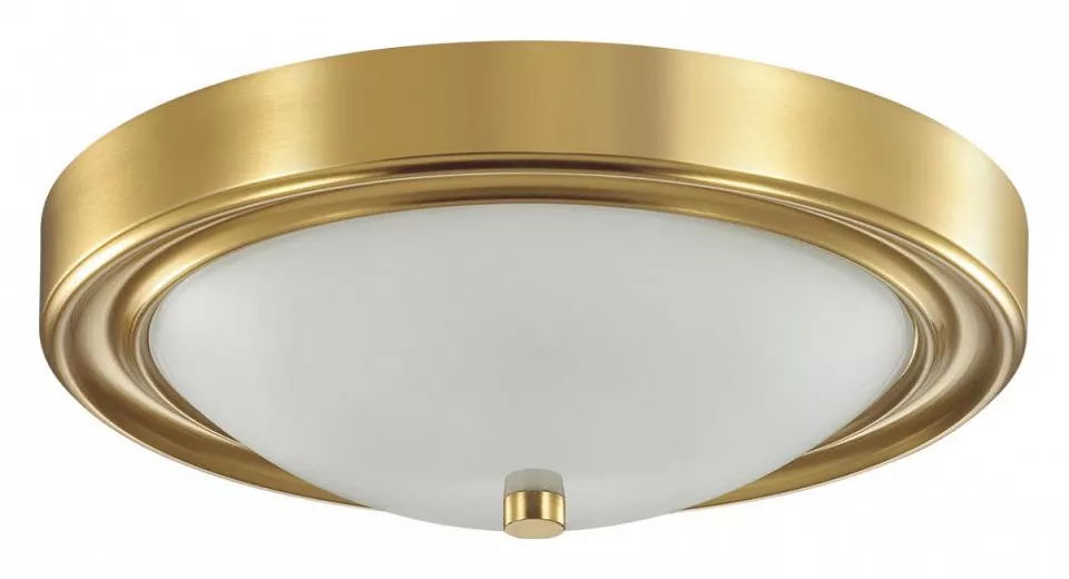 

Настенно-потолочный светильник Lumion Vintage Nina 5259/2C