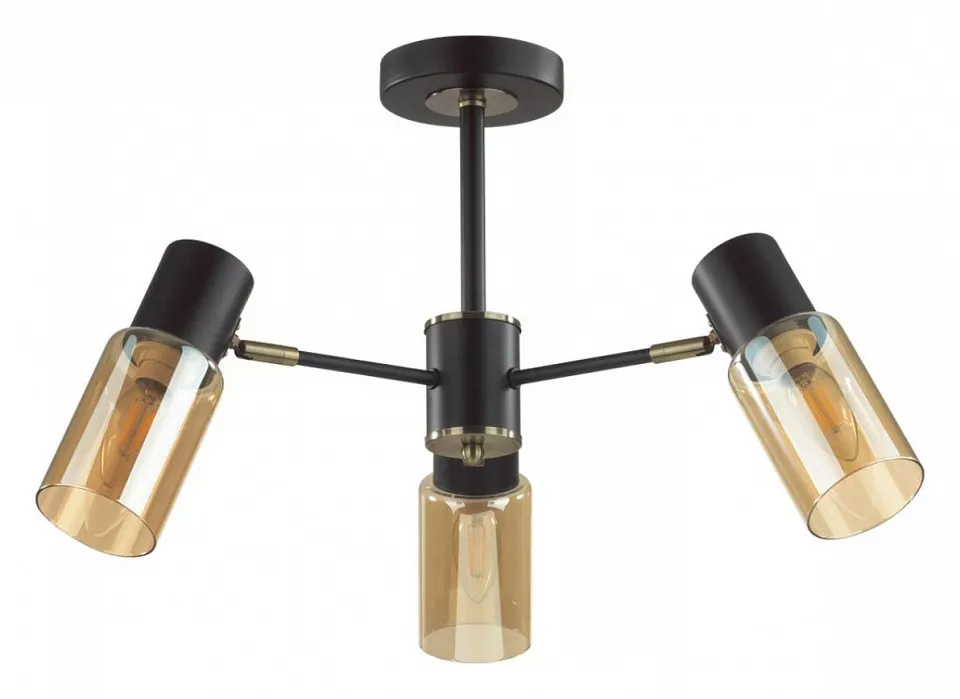

Люстра на штанге Lumion Ronnie 5644/3C