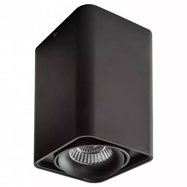 

Потолочный светильник Lightstar Monocco 212537