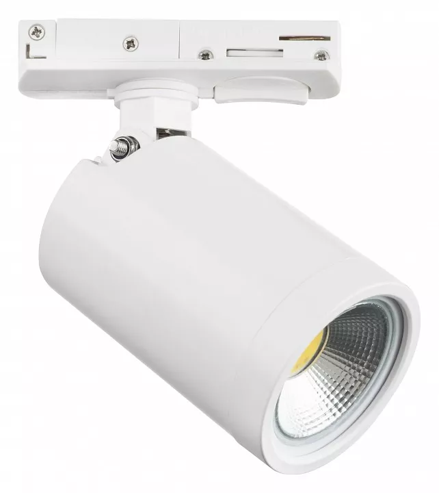 

Светильник на штанге Lightstar Rullo 212936