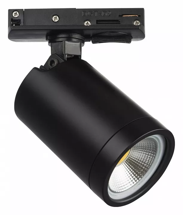

Светильник на штанге Lightstar Rullo 212937