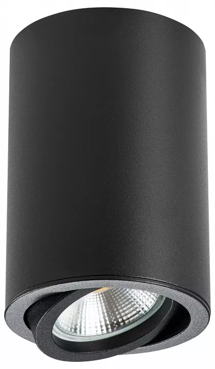 

Накладной светильник Lightstar Rullo 214407