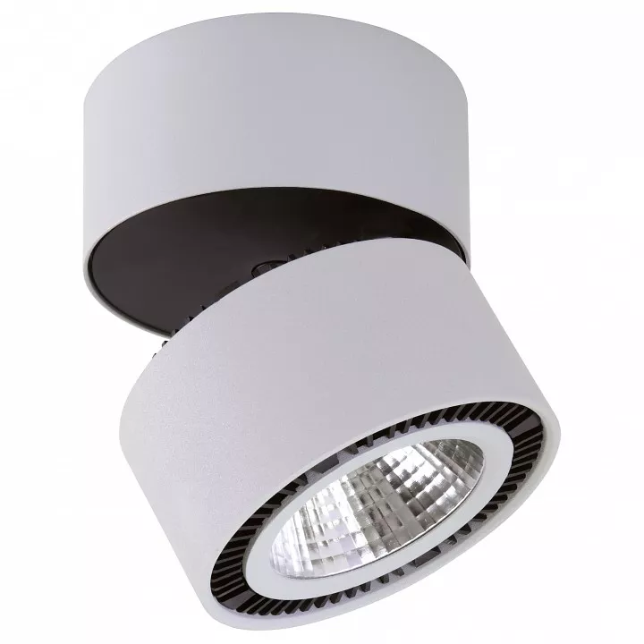 

Потолочный светодиодный светильник Lightstar Forte Muro 214830