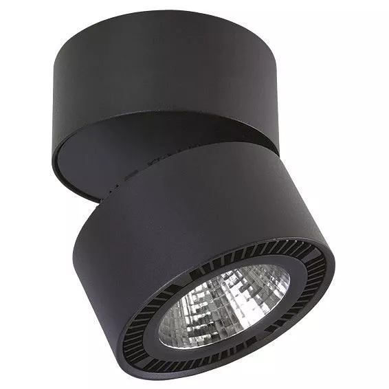 

Трековый светодиодный светильник Lightstar Forte Muro (592067+214857) A1T214857