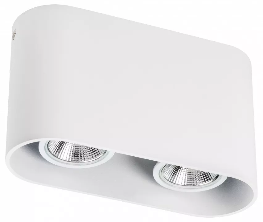 

Накладной светильник Lightstar Rullo 214866
