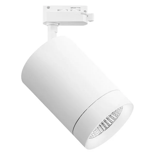 

Трековый светодиодный светильник Lightstar Canno Led 303262