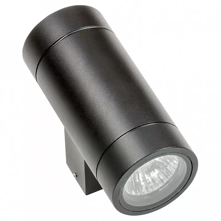 

Уличный настенный светильник Lightstar Paro 351607
