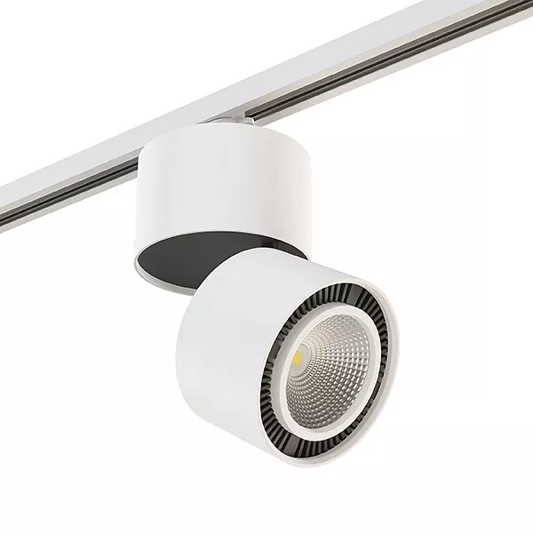 

Светильник на штанге Lightstar Rullo A1T214816