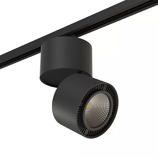

Светильник на штанге Lightstar Rullo A1T214837