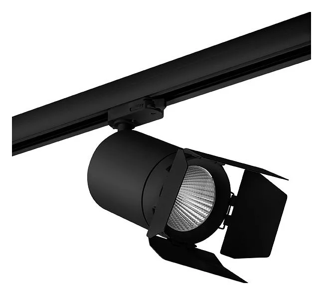 

Светильник на штанге Lightstar Canno C357497
