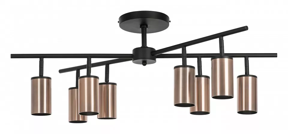 

Люстра на штанге Lightstar Rullo LR728308