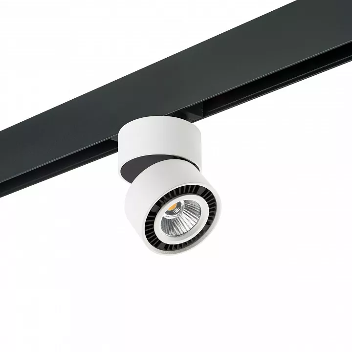 

Светильник на штанге Lightstar Forte Muro PRO214816