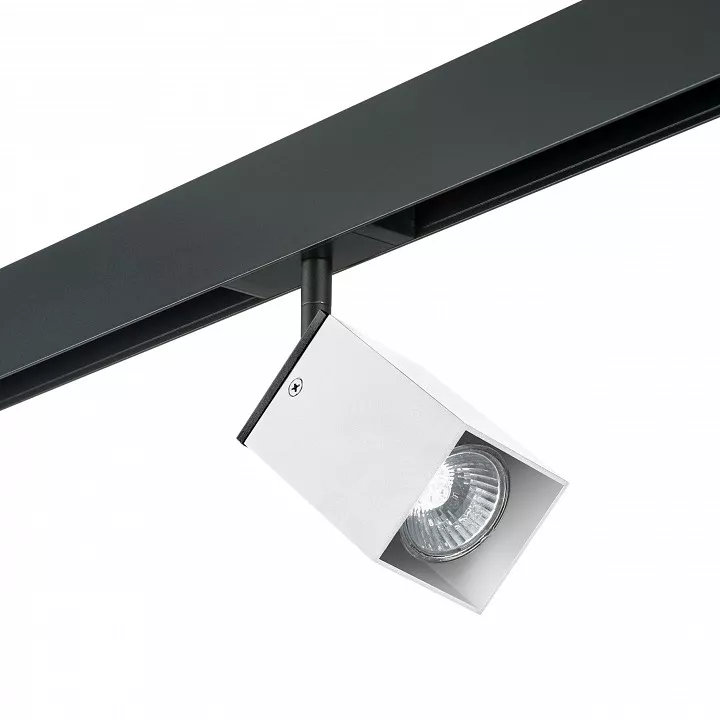 

Светильник на штанге Lightstar Rullo PRO216336