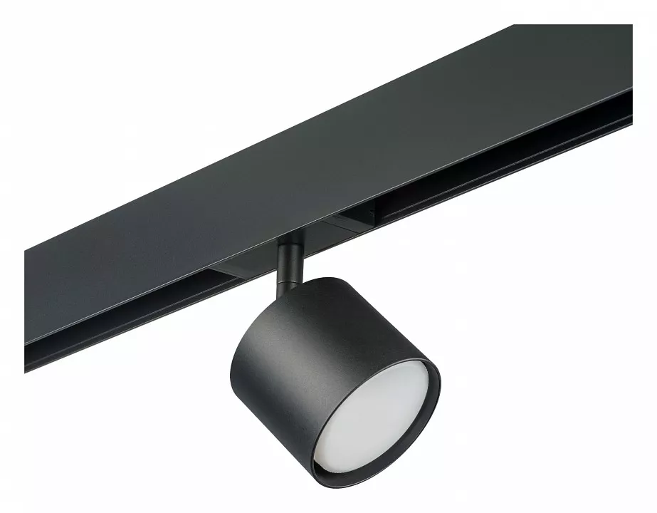 

Светильник на штанге Lightstar Rullo PRO3487