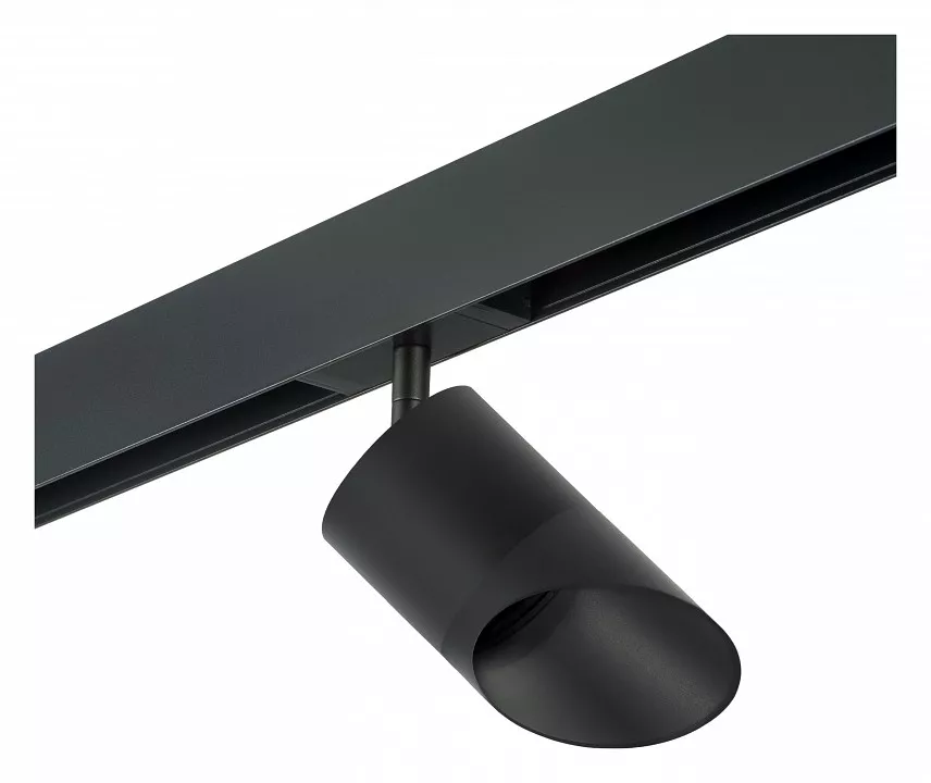 

Светильник на штанге Lightstar Rullo PRO348787