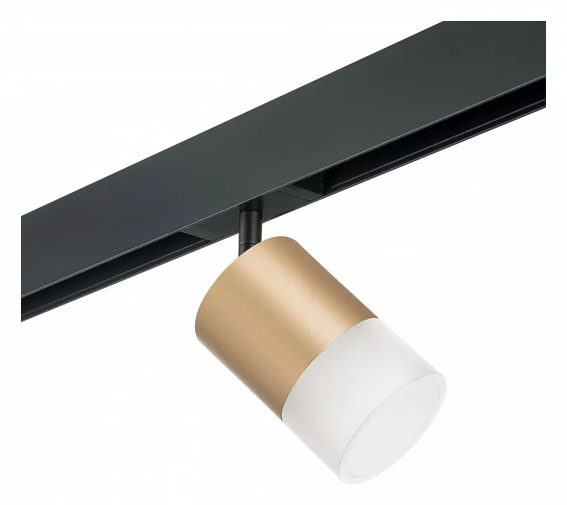 

Светильник на штанге Lightstar Rullo PRO349081