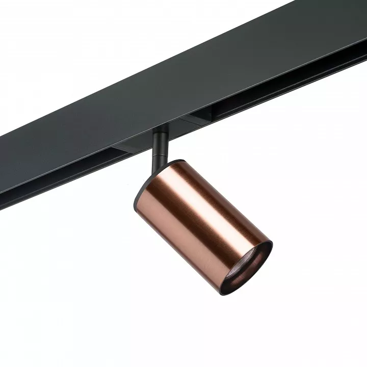 

Светильник на штанге Lightstar Rullo PRO430