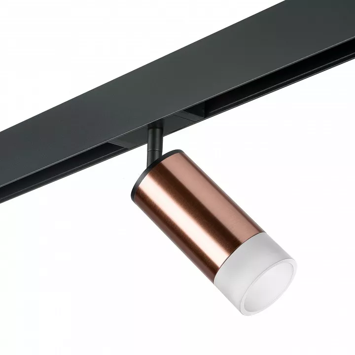 

Светильник на штанге Lightstar Rullo PRO43031