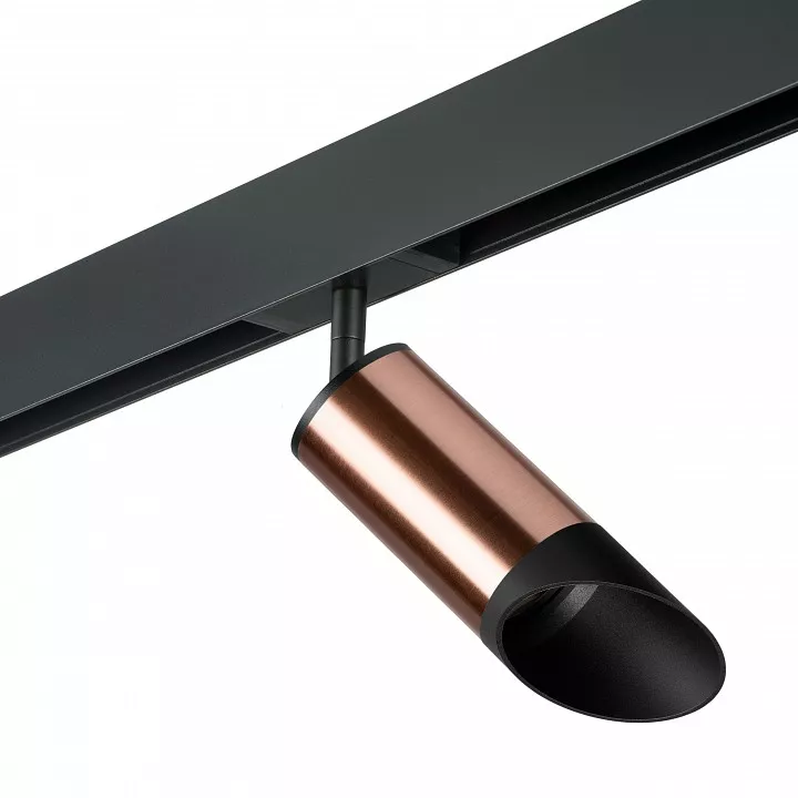 

Светильник на штанге Lightstar Rullo PRO43037