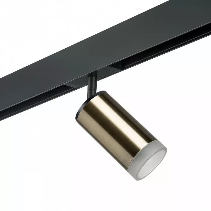 

Светильник на штанге Lightstar Rullo PRO43130