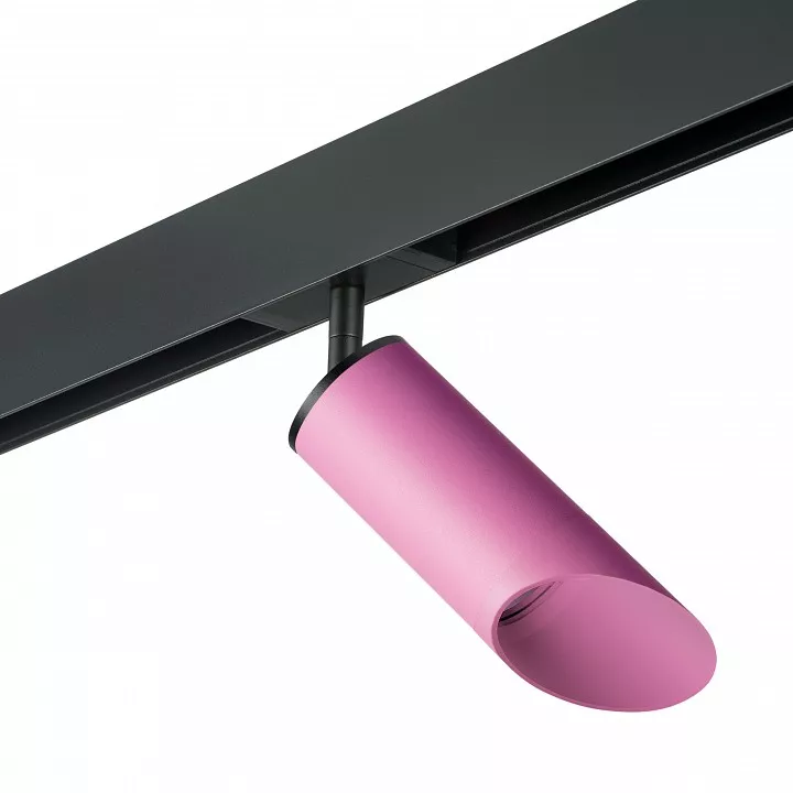 

Светильник на штанге Lightstar Rullo PRO43232
