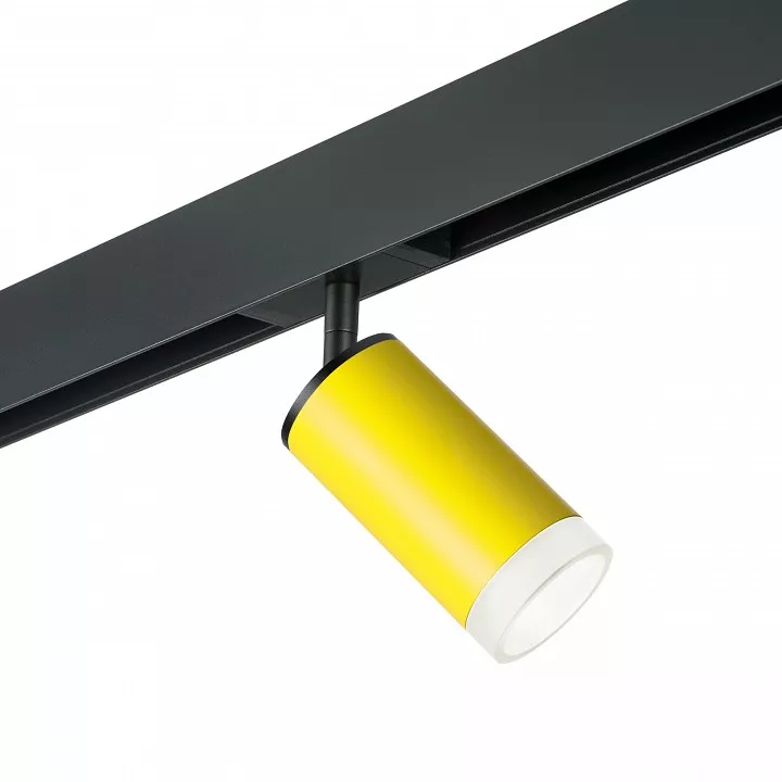 

Светильник на штанге Lightstar Rullo PRO43330