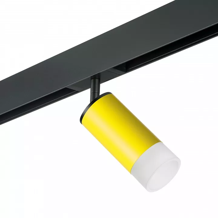 

Светильник на штанге Lightstar Rullo PRO43331