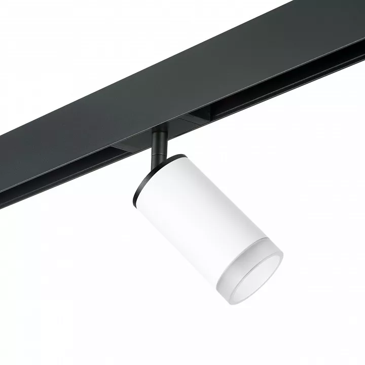 

Светильник на штанге Lightstar Rullo PRO43630