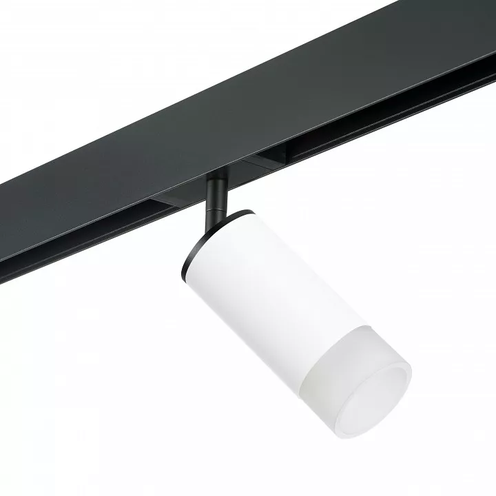 

Светильник на штанге Lightstar Rullo PRO43631