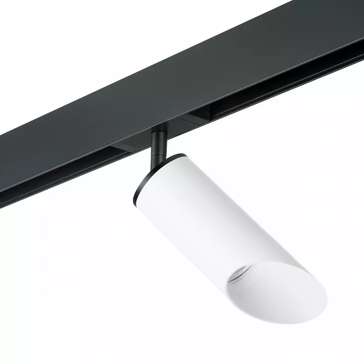 

Светильник на штанге Lightstar Rullo PRO43636