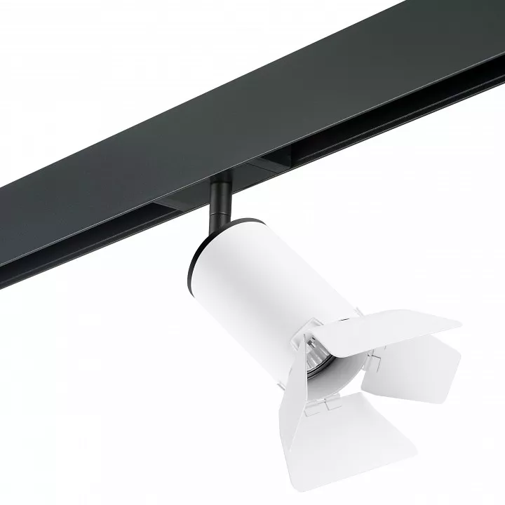 

Светильник на штанге Lightstar Rullo PRO436436