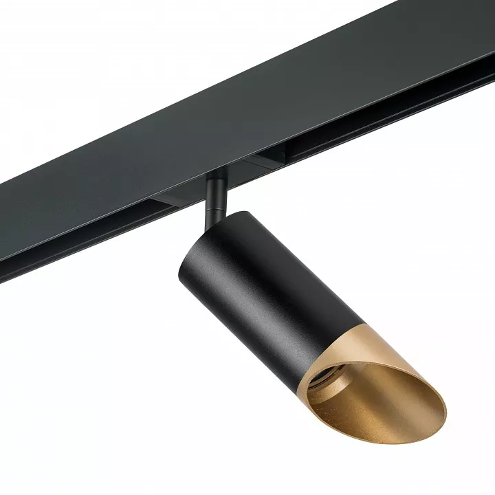 

Светильник на штанге Lightstar Rullo PRO437140