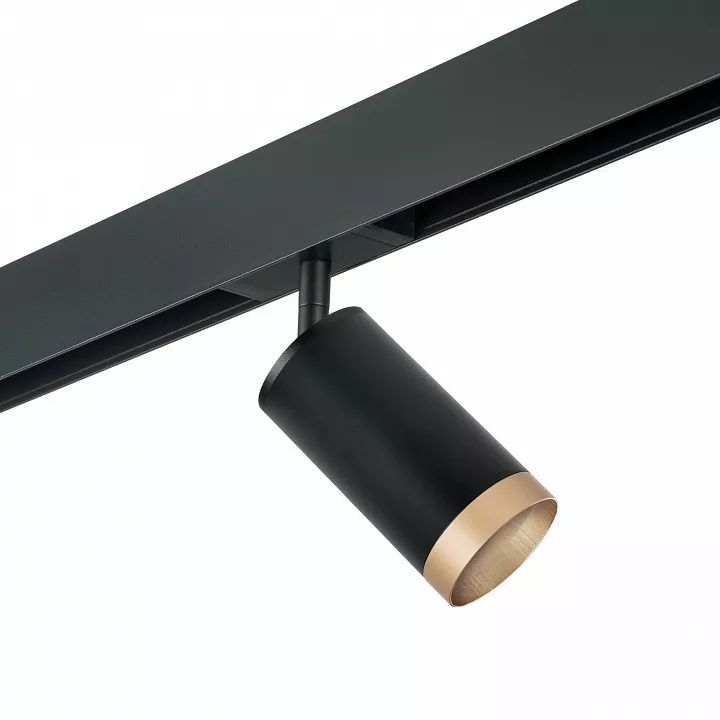 

Светильник на штанге Lightstar Rullo PRO43740