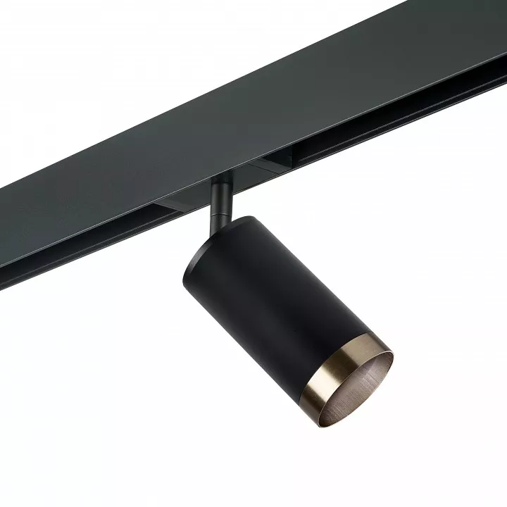 

Светильник на штанге Lightstar Rullo PRO437431