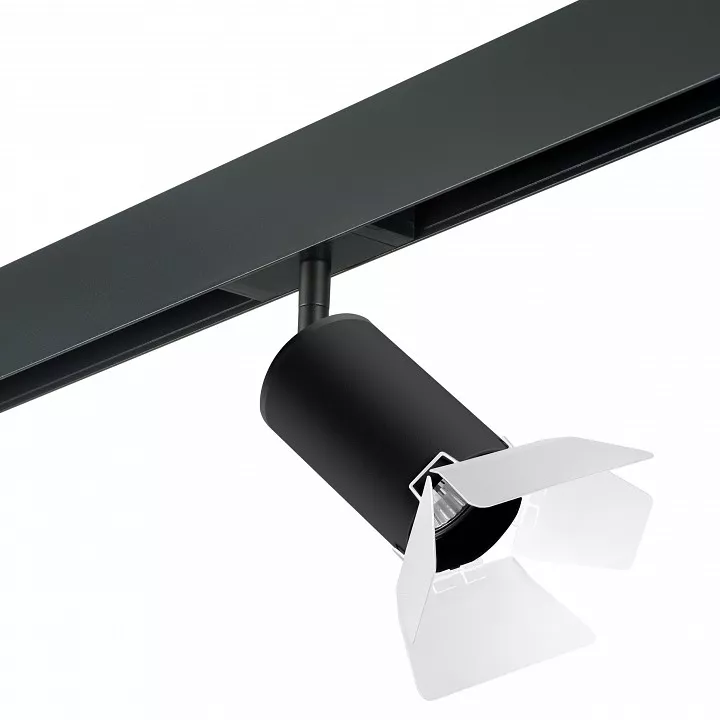 

Светильник на штанге Lightstar Rullo PRO437436