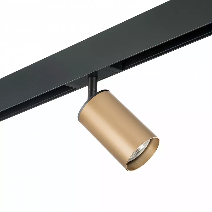 

Светильник на штанге Lightstar Rullo PRO440