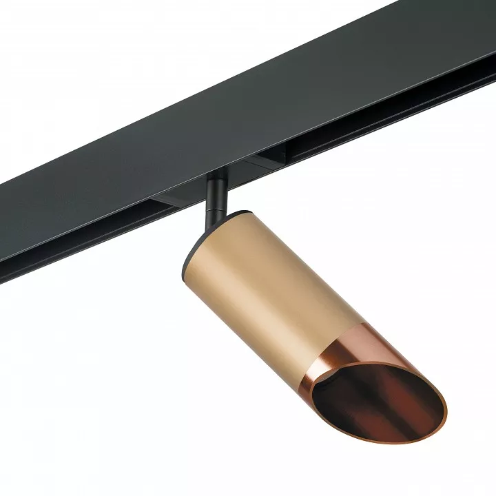 

Светильник на штанге Lightstar Rullo PRO440130