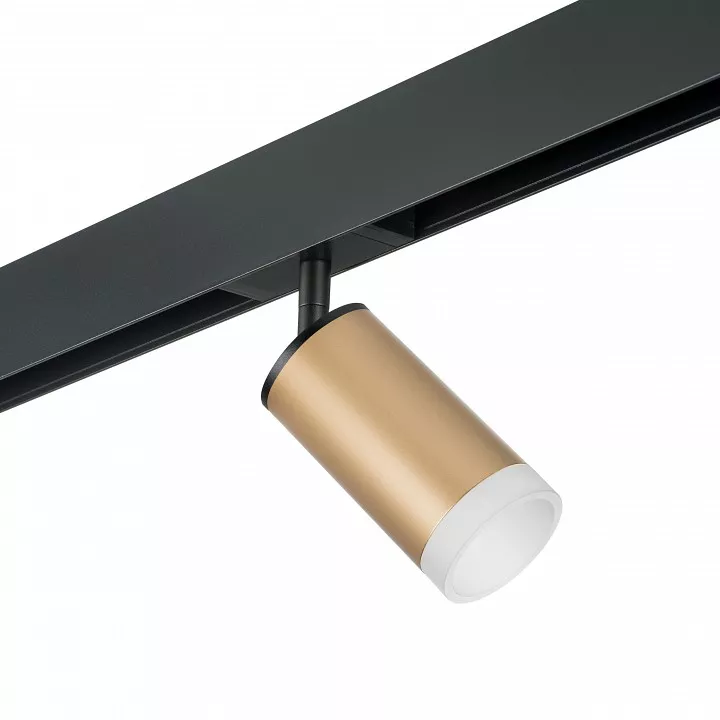 

Светильник на штанге Lightstar Rullo PRO44030