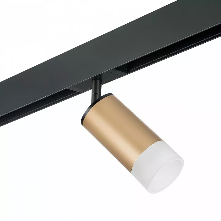 

Светильник на штанге Lightstar Rullo PRO44031