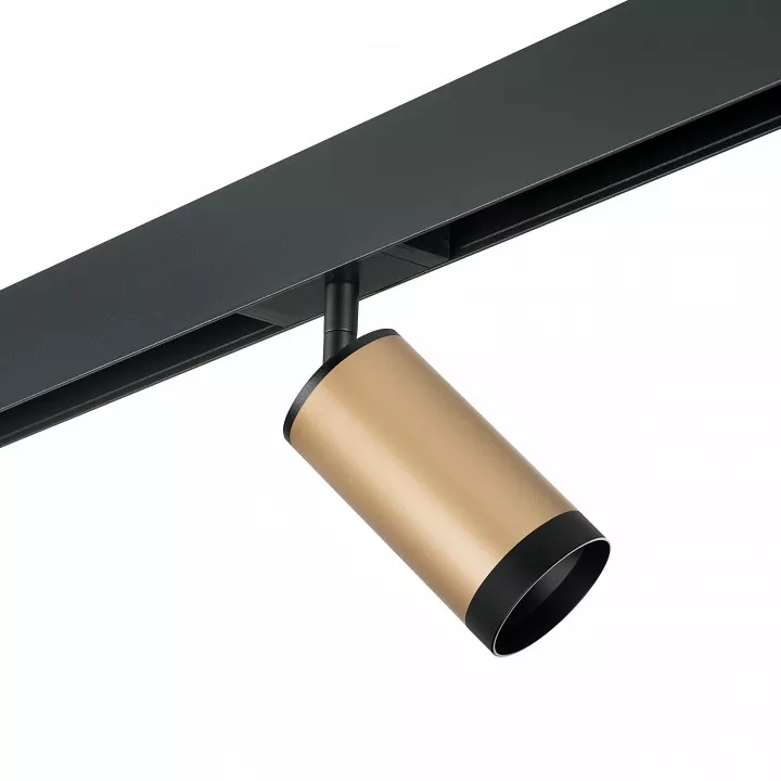 

Светильник на штанге Lightstar Rullo PRO440437