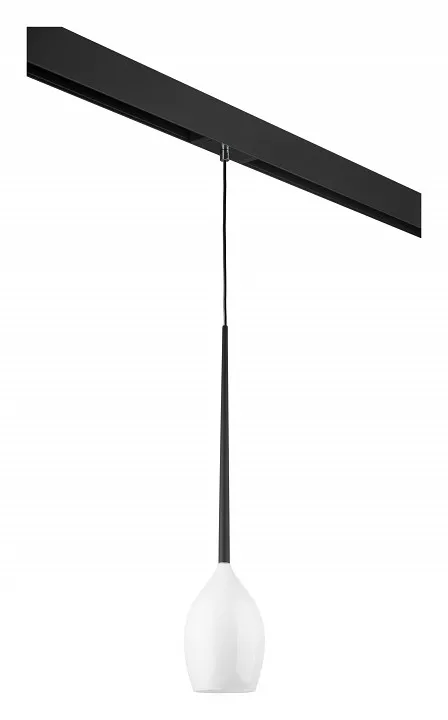 

Подвесной светильник Lightstar Meta d'uovo PRO807110