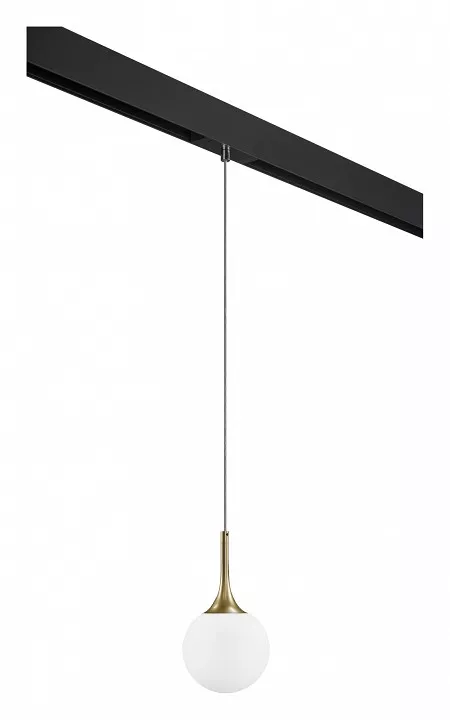 

Подвесной светильник Lightstar Globo PRO813012