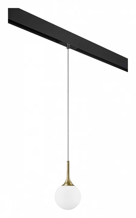 

Подвесной светильник Lightstar Globo PRO813013