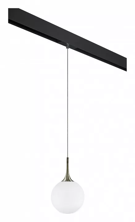 

Подвесной светильник Lightstar Globo PRO813021