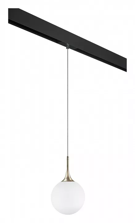 

Подвесной светильник Lightstar Globo PRO813023