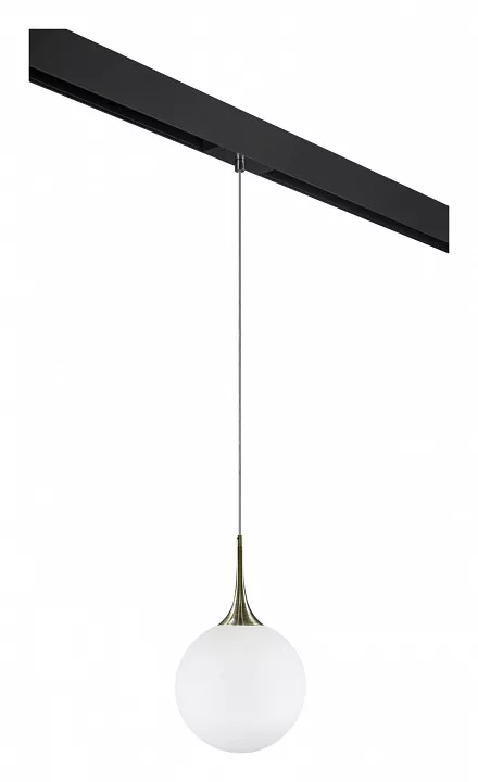 

Подвесной светильник Lightstar Globo PRO813031