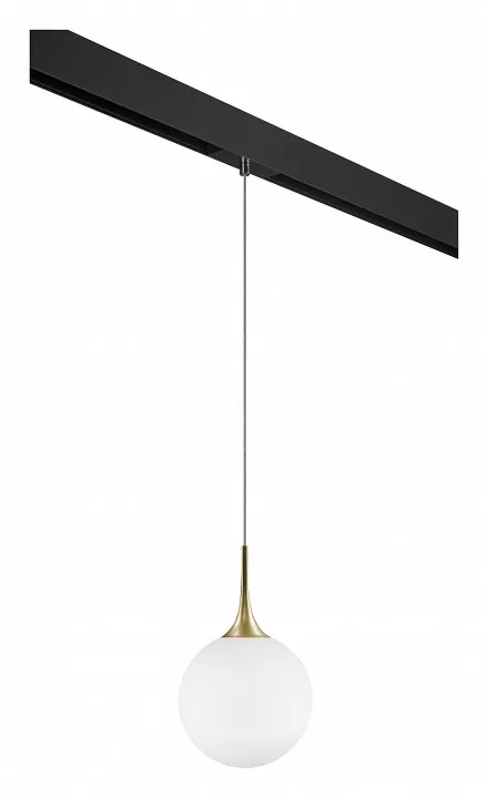 

Подвесной светильник Lightstar Globo PRO813032