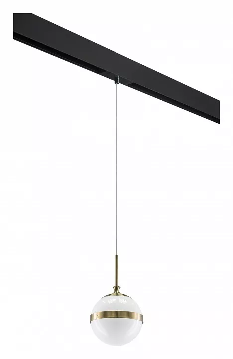 

Подвесной светильник Lightstar Globo PRO813111